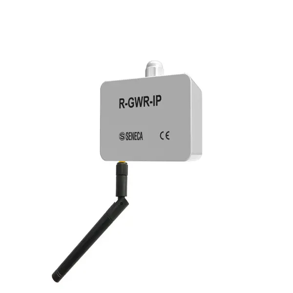 [R-GWR-IP-1] R-GWR-IP-1